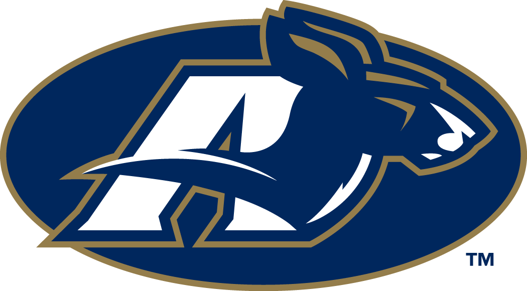 Akron Zips 2002-Pres Alternate Logo v5 iron on transfers for T-shirts